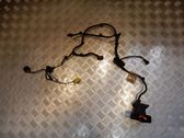 Front door wiring loom