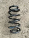 Front coil spring