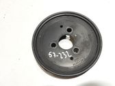 Polea de la bomba de dirección hidráulica