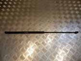 Front bonnet/hood damper/strut