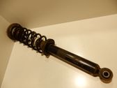 Stoßdämpfer mit Federbein hinten
