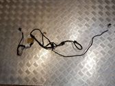 Front door wiring loom