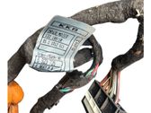 Cableado de puerta trasera