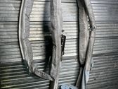 Roof airbag