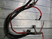 Positive cable (battery)