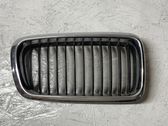 Front grill