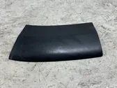 Fender trim (molding)