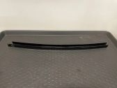 Rear door glass trim molding