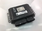 Engine control unit/module ECU