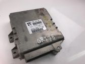 Engine control unit/module ECU