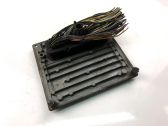 Engine control unit/module ECU