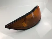 Front fender indicator light