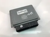 Unité de commande, module ECU de moteur