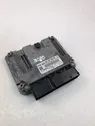 Engine control unit/module ECU