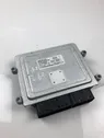 Engine control unit/module ECU