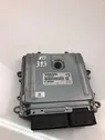 Engine control unit/module ECU