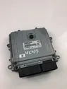 Engine control unit/module ECU