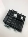 Engine control unit/module ECU