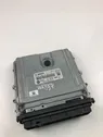 Engine control unit/module ECU