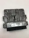 Engine control unit/module ECU