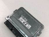 Engine control unit/module ECU