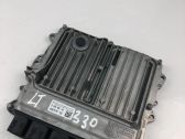 Engine control unit/module ECU