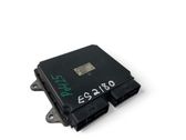 Engine control unit/module ECU