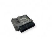 Engine control unit/module ECU