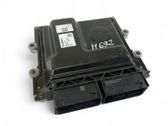 Engine control unit/module ECU