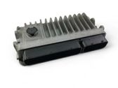 Engine control unit/module ECU