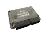 Engine control unit/module ECU
