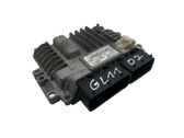 Engine control unit/module ECU