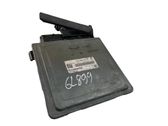 Engine control unit/module ECU