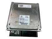 Engine control unit/module ECU