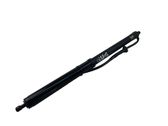 Tailgate/trunk strut/damper