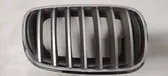 Front bumper upper radiator grill