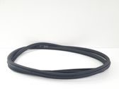 Rear door rubber seal (on body)