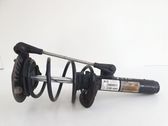 Front shock absorber with coil spring