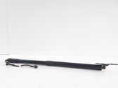 Tailgate/trunk strut/damper