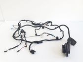 Front door wiring loom