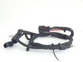 Other wiring loom
