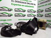 Cinturón trasero