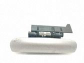 Manecilla externa puerta trasera