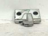 Tailgate lock latch