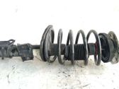 Amortiguador delantero con muelle espiral