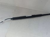 Tailgate/trunk strut/damper