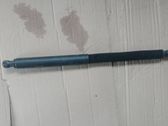 Tailgate/trunk strut/damper