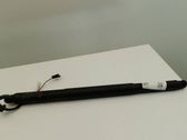 Tailgate/trunk strut/damper