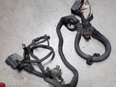 Other wiring loom