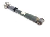 Rear shock absorber/damper